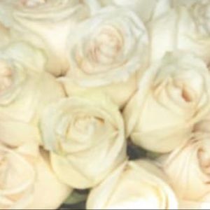 Meet your Posher, Leona